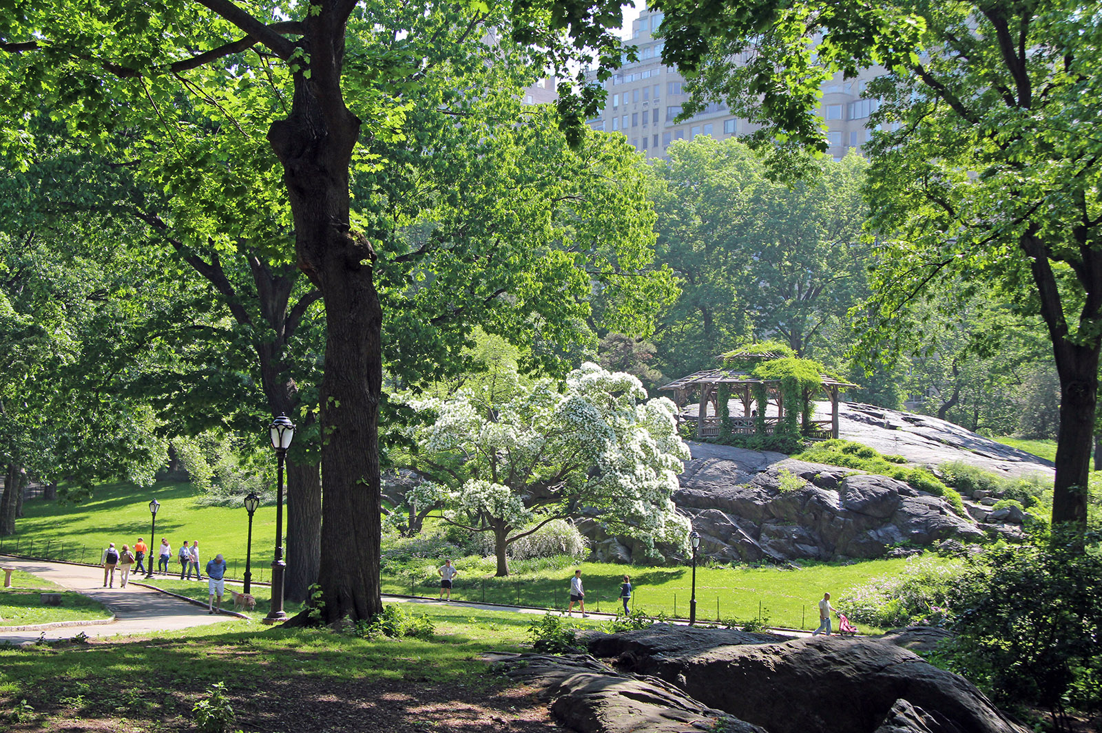 52 Central Park 03 D